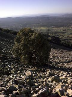 Leyendas del Tesoro de Sevilleja