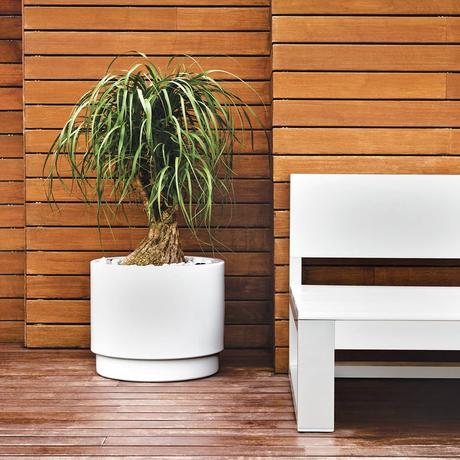 50230781 384440109019249 7323178699432058021 n - DECORACION AMBIENTAL - DESCUBRE LA ILUMINACIÓN AMBIENTAL