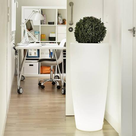 50612704 2211269302523963 6850640902309100281 n - DECORACION AMBIENTAL - DESCUBRE LA ILUMINACIÓN AMBIENTAL