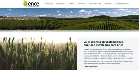 GreenWashing: Empresas contaminantes con paginas verdes