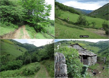 Ruayer-La Fitona-Cicueta-Vegará