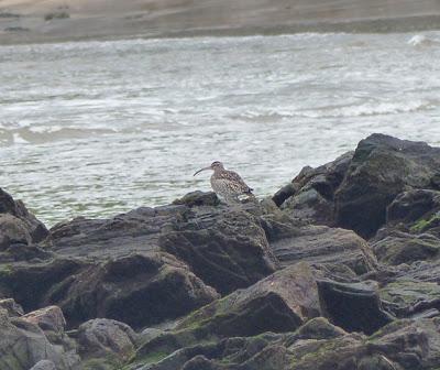 Desplazamientos locales