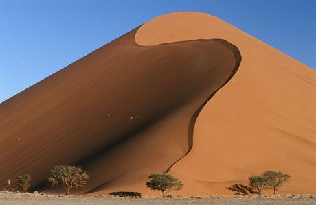 Resultado de imagen para desierto datos curiosos