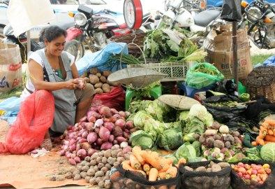 ¿Yacaré? platos de Bolivia que debes probar