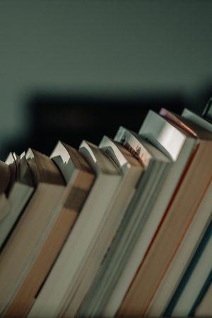 Los libros del año para el equipo de Libros prohibidos