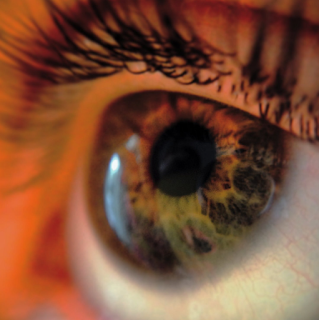 Científicos superan la barrera para desarrollar una retina artificial. Científicos superan la barrera para desarrollar una retina artificial.