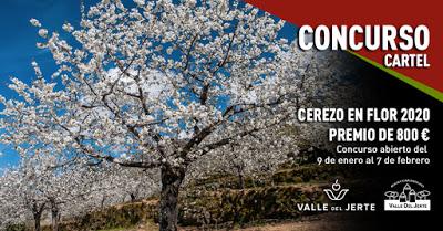 Concurso Cerezo en Flor 2020. Valle del Jerte Concurso Cerezo en Flor 2020. Valle del Jerte