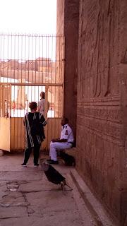 Egipto, Luxor, Karnak y una Ciudad que parece no existir Egipto, Luxor, Karnak y una Ciudad que parece no existir