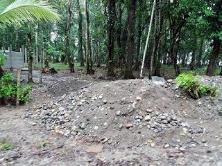 ONG cuestiona Ministro de ambiente por destrucción de refugio de vida silvestre Gandoca Manzanillo