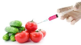 Alimentos Transgenicos, OMG, Organismos modificados geneticamente, Perjudican nuestro cuerpo los transgenicos, Que son los transgenicos, 