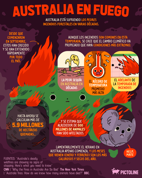 Australia: La vida silvestre sufre enormes incendios forestales
