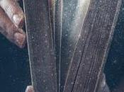 4.068 algunas preguntas...