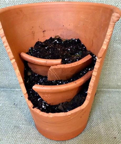 Cómo hacer mini jardines reutilizando macetas rotas