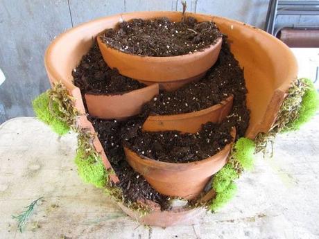 Cómo hacer mini jardines reutilizando macetas rotas