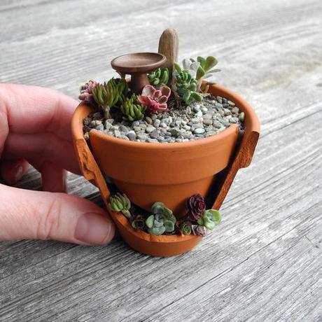 Cómo hacer mini jardines reutilizando macetas rotas