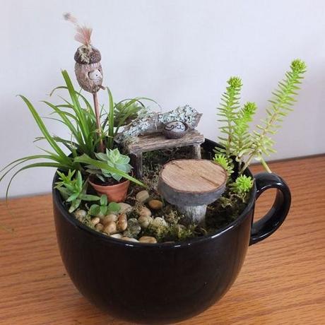 Hermosas ideas para hacer terrarios en tazas de té