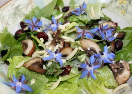 Borraja en aceite o verdura y sus propiedades borraja recetas