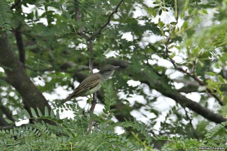 Primera salida de 2020