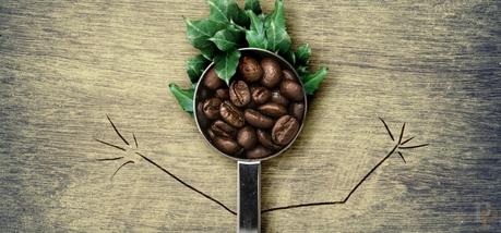 La borra del café | Amar lo amable no es amor La borra del café | Amar lo amable no es amor