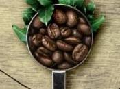 borra café Amar amable amor