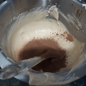 Queque mármol cacao