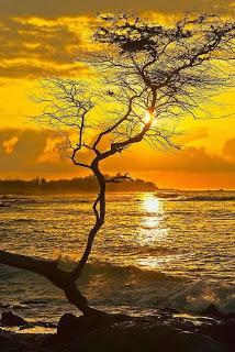 4.073 - SOLO DOS LETRAS.... 4.073 - SOLO DOS LETRAS....