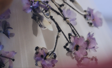 Chanel´s Chanel´s