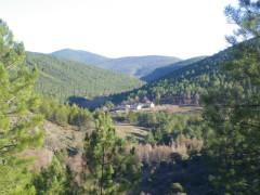 ¿Aquí que hay que ver? ¿Aquí que hay que ver?