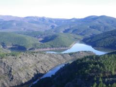 ¿Aquí que hay que ver? ¿Aquí que hay que ver?