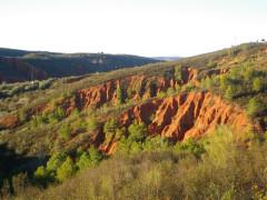 ¿Aquí que hay que ver? ¿Aquí que hay que ver?