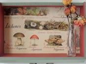 setas, champiñones arquitectura