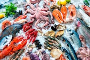 pescado-marisco-dieta-pez-alimentacion