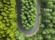 Lamborghini aumenta ventas mundiales 2019, hasta 8,205 automóviles