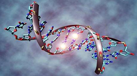 adn-metilacion.jpg - Christoph Bock, Max Planck Institute for Informatics (Wikimedia)