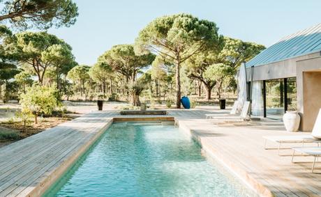 Cool & Vintage – domicilios de gran lujo rentables