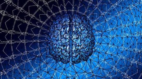 Siglo XXI, de profesión “parado”  2ª parte