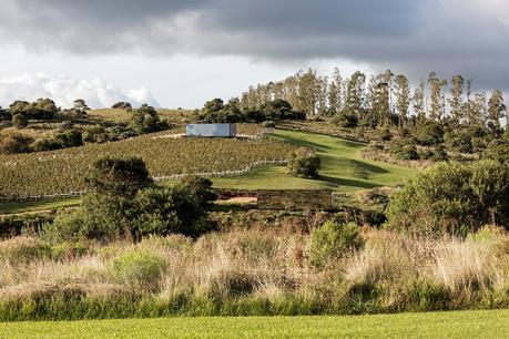 Cuatro bodegas con arquitectura de alto impacto en el Este de Uruguay 21