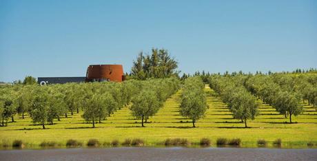 Cuatro bodegas con arquitectura de alto impacto en el Este de Uruguay Cuatro bodegas con arquitectura de alto impacto en el Este de Uruguay