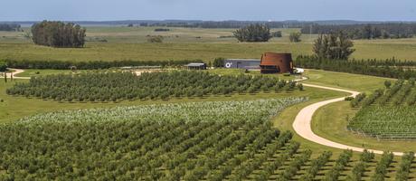 Cuatro bodegas con arquitectura de alto impacto en el Este de Uruguay f