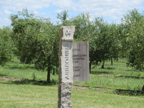 Cuatro bodegas con arquitectura de alto impacto en el Este de Uruguay 12