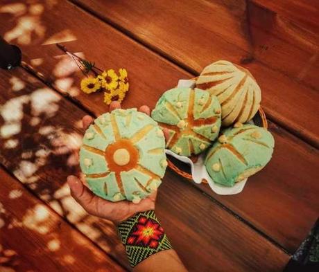 Peyoconchas de Real de Catorce causan sensación en Internet