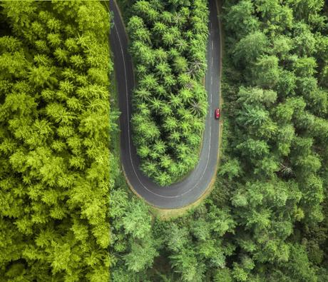 La planta de Renault en Curitiba (brasil) recibe un premio del Foro Económico Mundial