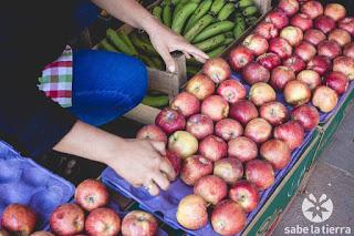 FERIAS CON PRODUCTOS ORGÁNICOS