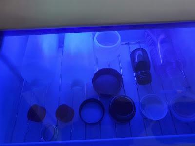 Esterilizador UV con botes reutilizables en su interior mientras está en funcionamiento