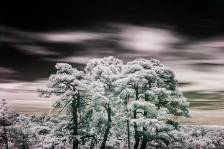 Mínimas Fotográficas