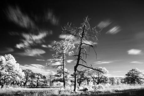 Mínimas Fotográficas