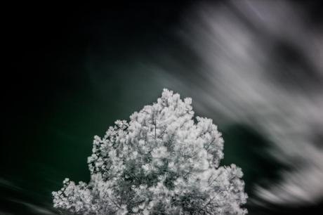 Mínimas Fotográficas