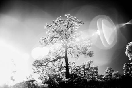 Mínimas Fotográficas