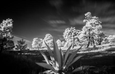 Mínimas Fotográficas