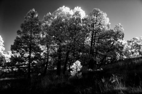 Mínimas Fotográficas